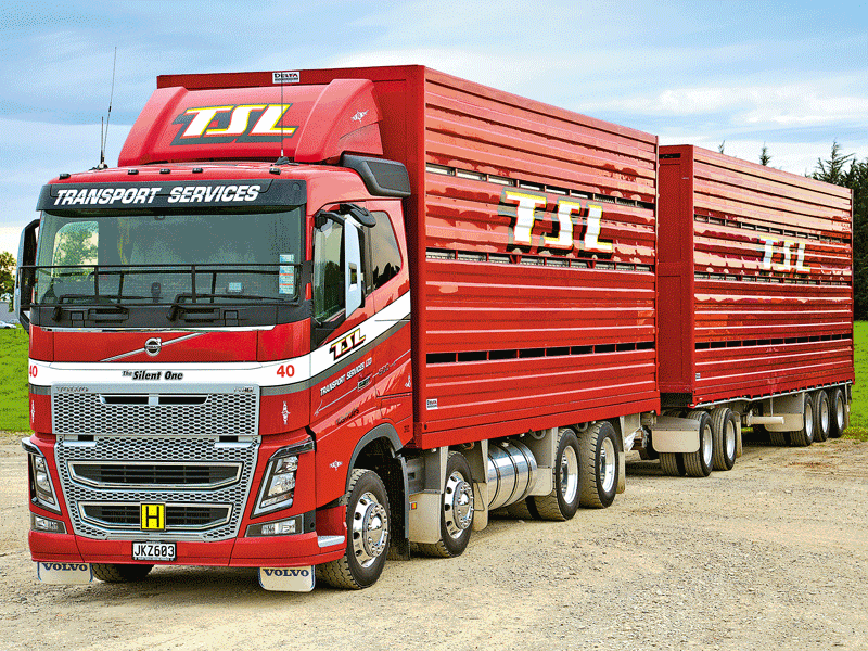 This stunning FH16 was one of the TSL's many entrants in the show 