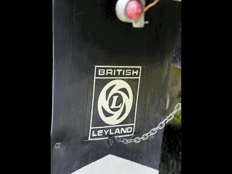 COVER STORY: Leyland Buffalo profile 