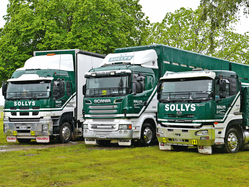 Nelson truck show 