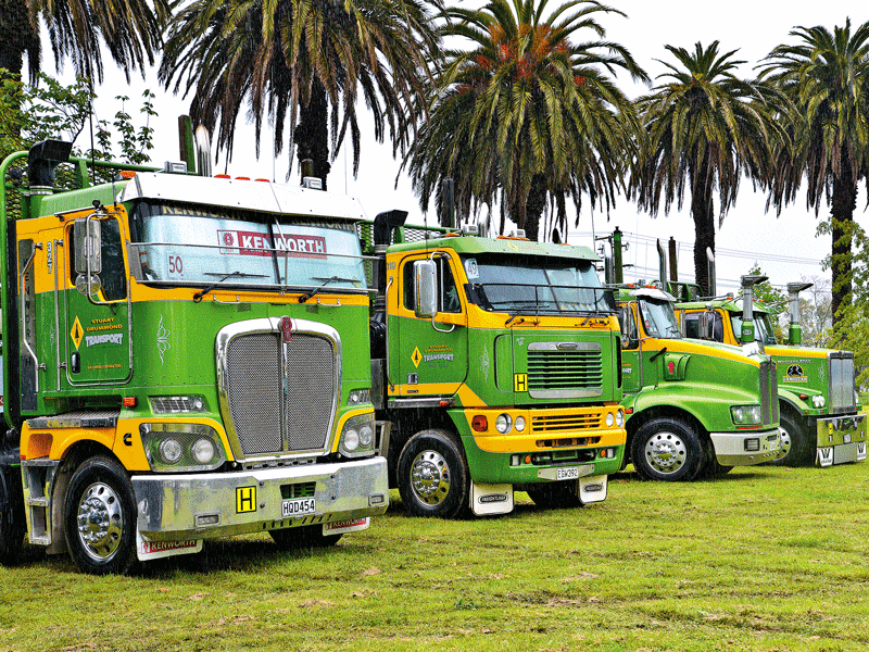 Nelson truck show 