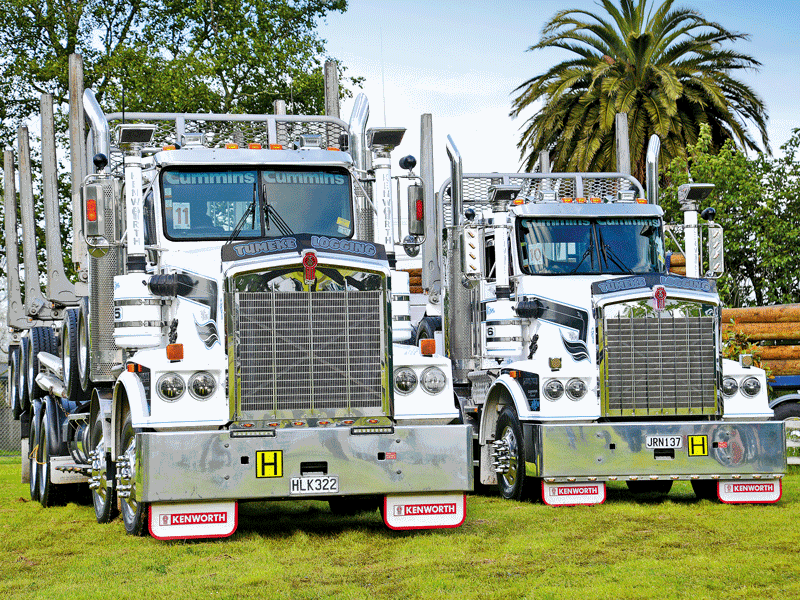 Nelson truck show 