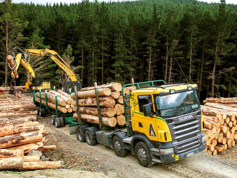 Cover story: Akitio Logging