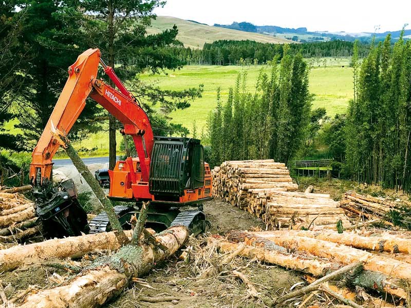 Subritzky Clark Logging