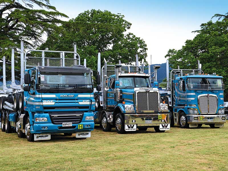 Nelson Truck Show 6