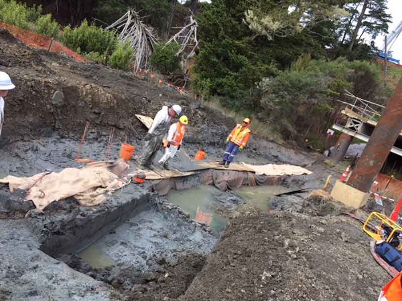 Possible unfinished waka discovered on Puhoi motorway site