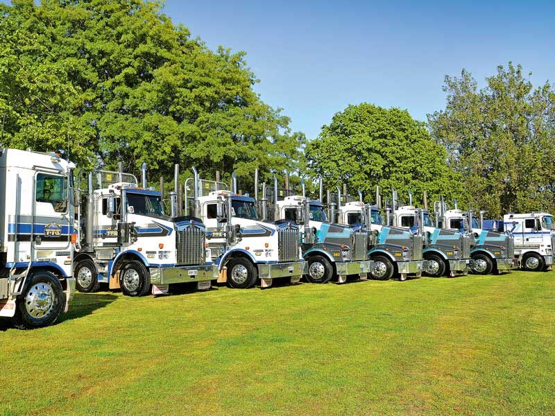 Nelson Truck Show and Parade 2018