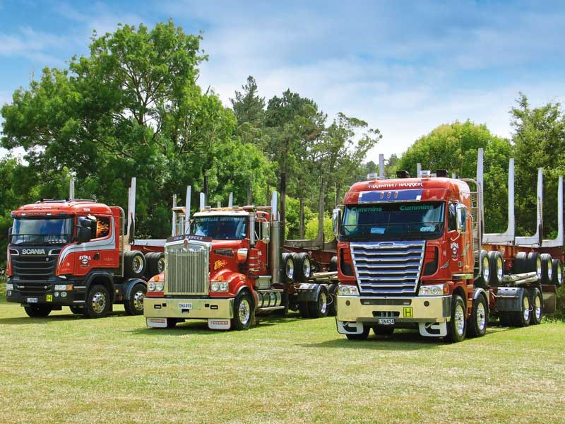 2019 Wellsford Lions Roaring Truck Show