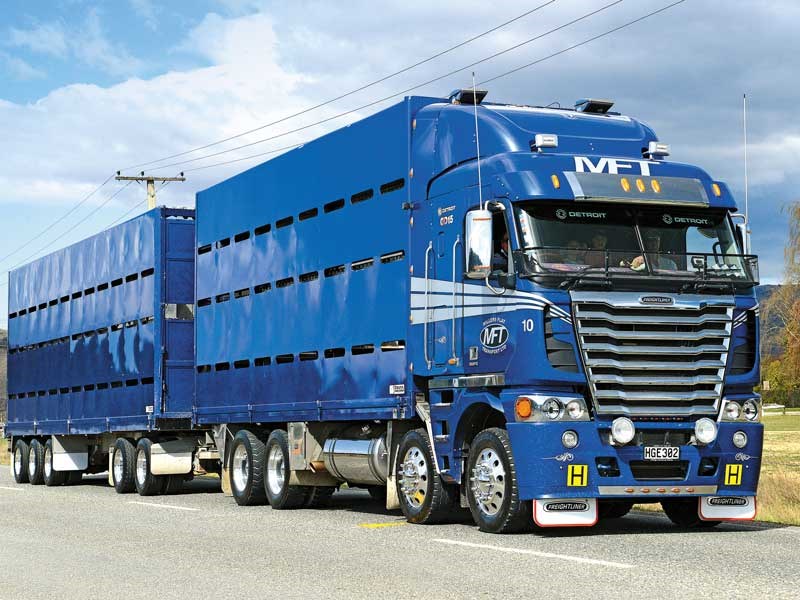 Millers Flat Transports Livestock hauling Freightliner Argosy