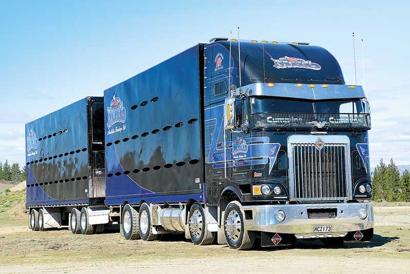 Alexandra truck show 2015