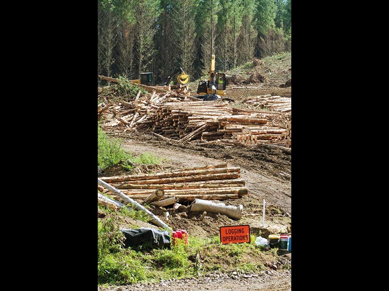 Northland Forestry award initiative