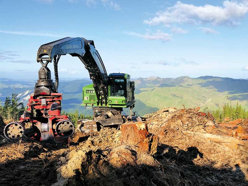 Business profile: Cox Forestry Services