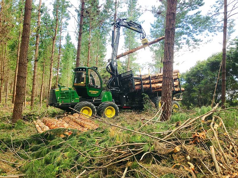 Business profile: Cox Forestry Services