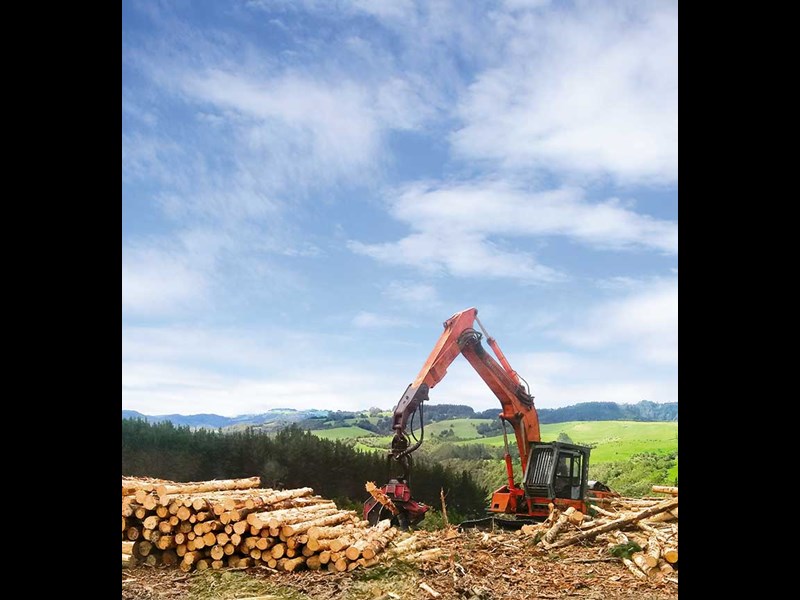 Tom Harrison and Sons Logging: family in forestry