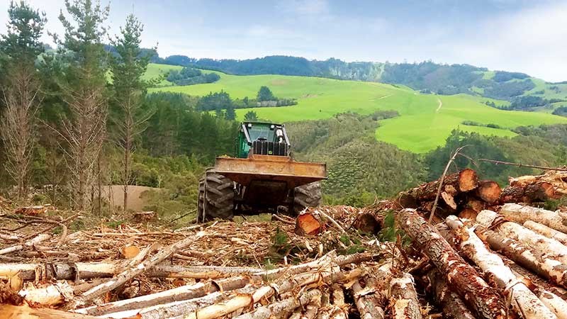 Tom Harrison and Sons Logging: family in forestry