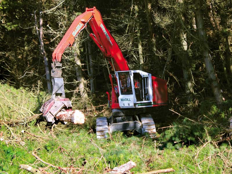 Madill 2250C feller buncher