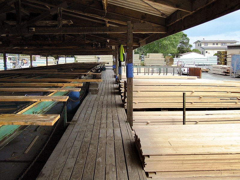 Forestry: Northpine Timber Mill in Waipu