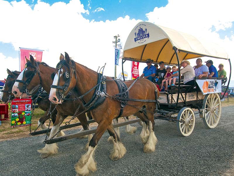 Photos: Northland Fieldays 2015