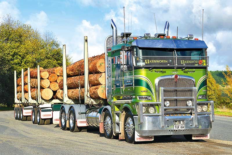 Photos: 2016 Taupo Truck Show ‘N’ Shine 