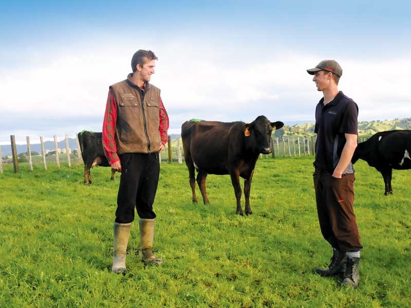 Sustainability: Pasture-First farming