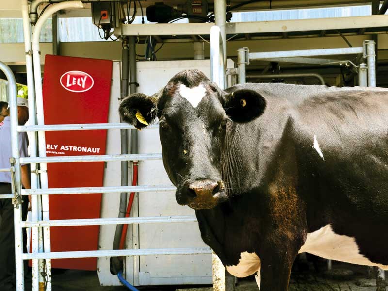 Business Profile: Lely Robotic Milking