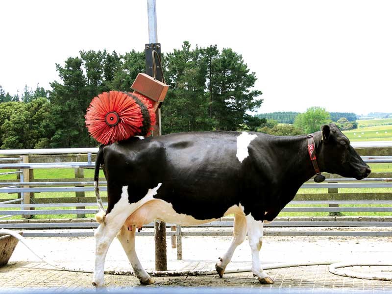 Business Profile: Lely Robotic Milking