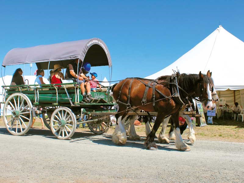 Northland Field Days