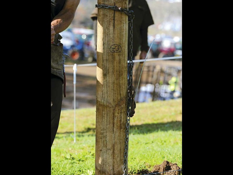 Fieldays fencing competition