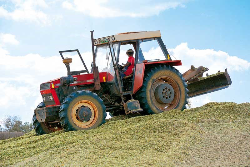 Older Zetor Tractors