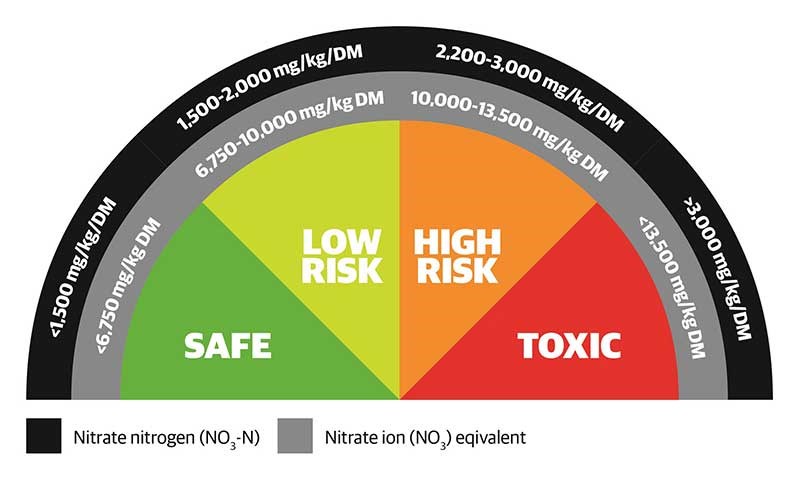 Risk Dial diagram