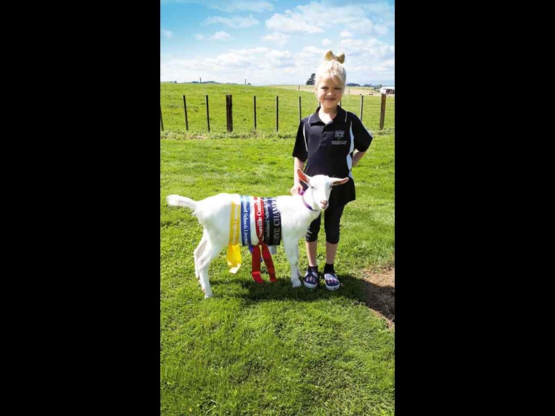 Ayla Byers 7 from David street School with a scout the goat