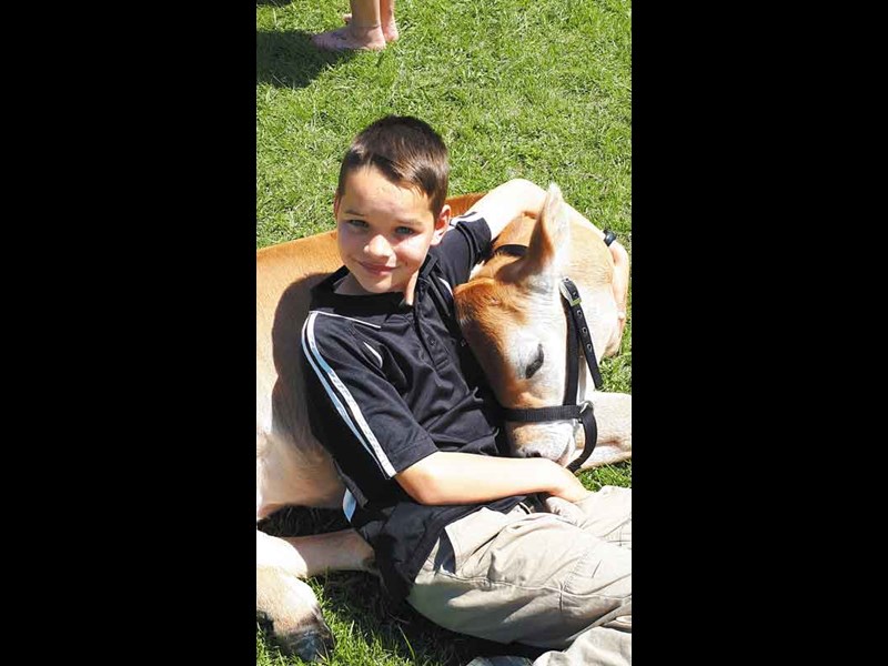 Jakob Byers 9 from David street School with Fern the Jersey calf