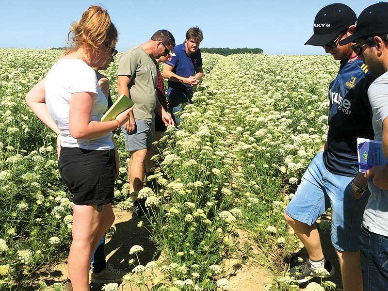 Foundation Arable Research Tour event