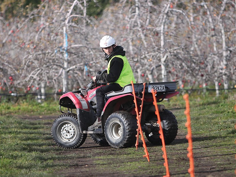 Young Growers from around NZ battle it out