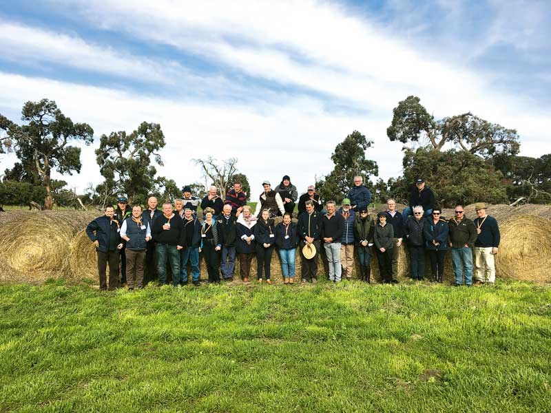 Kiwi sheep farmers on tour