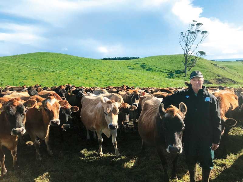 Matthew Grayling from Taranaki with his dairy herd