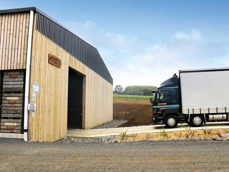 Shed envy with Alpine Buildings