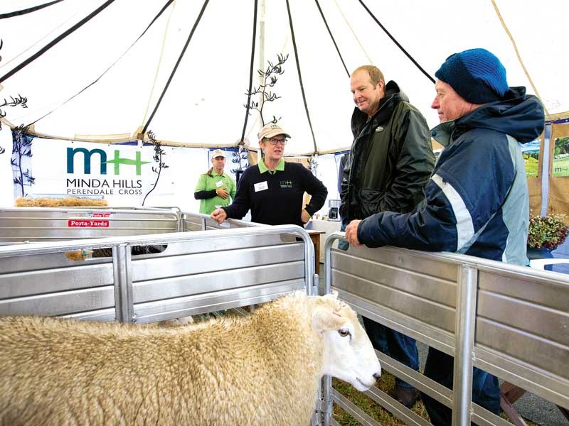 Central Districts Field Days