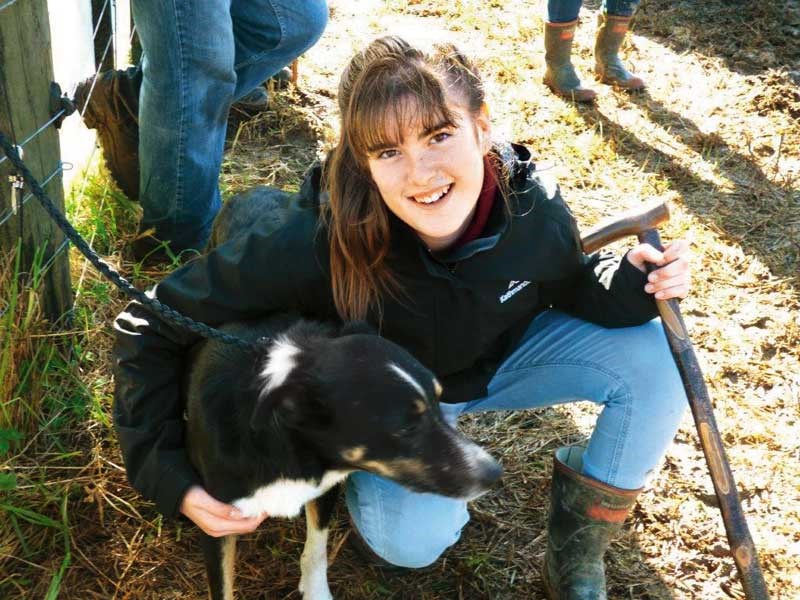 King Country sheepdog trials 6