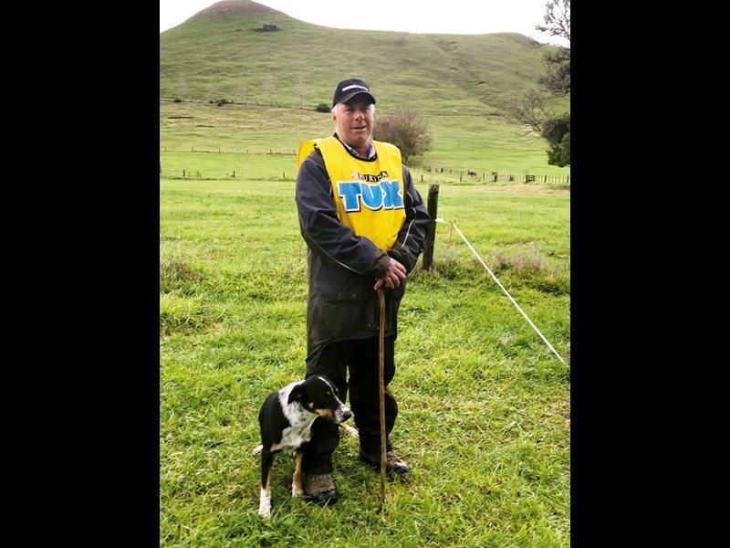 King Country sheepdog trials 9