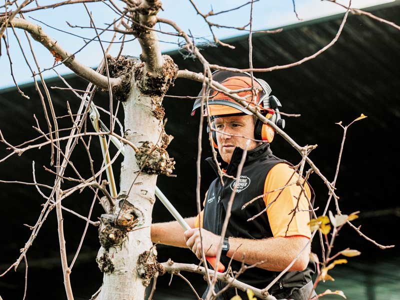 Matt McRae prunes a tree while standing on a hydralada FMG Young Farmer of the Year