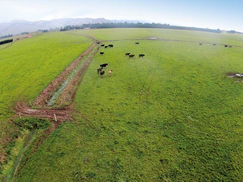 Using a drone around the farm…