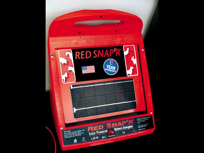 Business profile: Red Snap’r