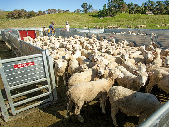 Animal handling and health: Landquip