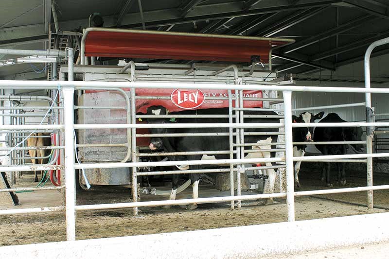 Lely Astronaut milking system review