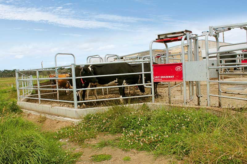 Lely Astronaut milking system review