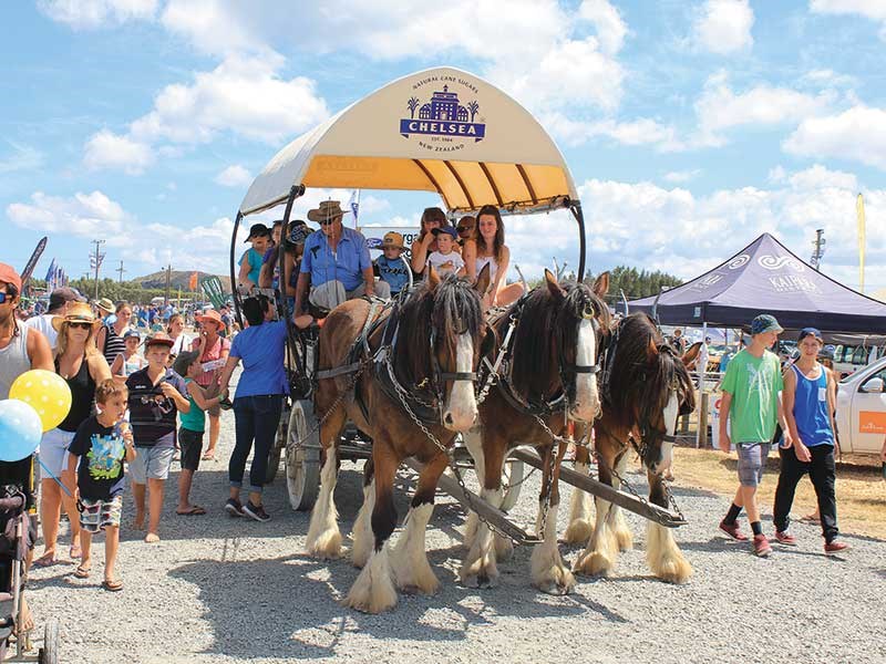 Northland Field Days 2015 report