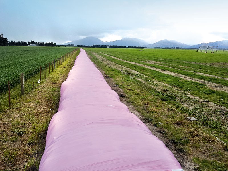 Pink bales for breast cancer awareness strike a chord overseas