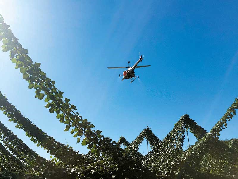 Future farming: unmanned helicopters