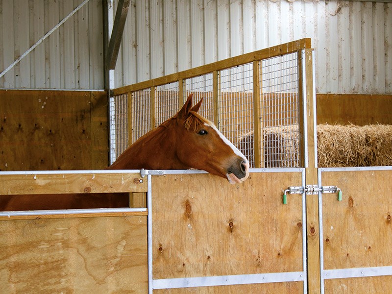 Shed envy: Totalspan farm buildings