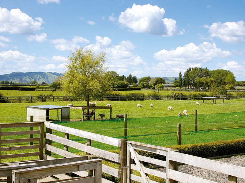 Shed envy: Totalspan farm buildings